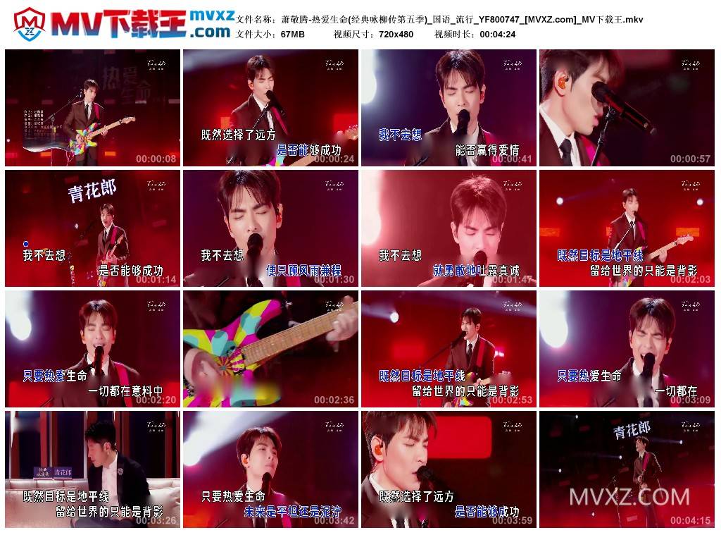 萧敬腾-热爱生命(经典咏柳传第五季)_国语_流行_YF800747